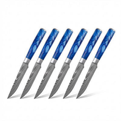 Weihnachtspaket Passion Tanaka Ozeanblau (6 Steakmesser + 5 japanische Messer + 1 Profi-Schleifer + 1 Fingerschutz + 1 Kaitsuko Buch)